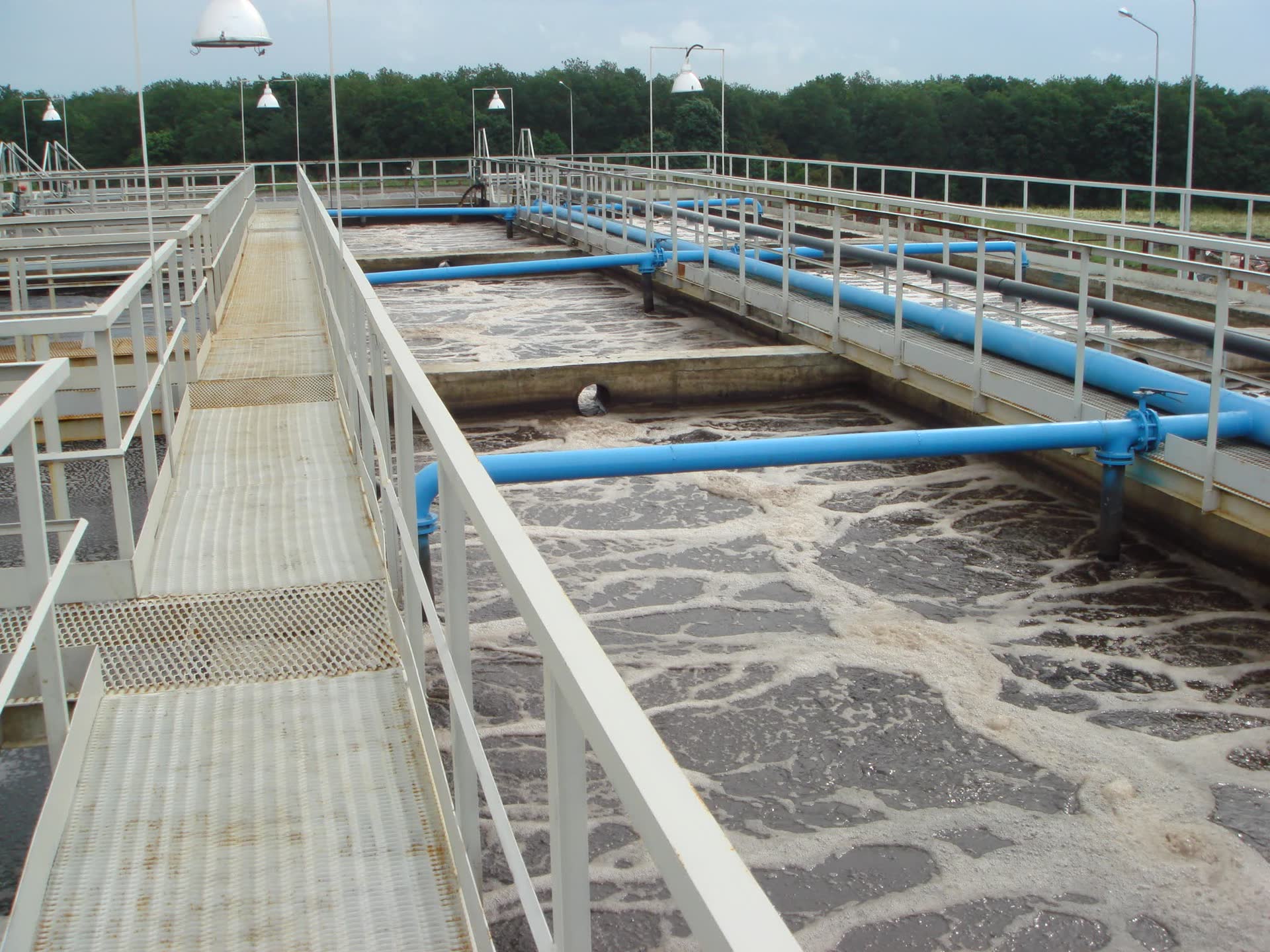 Познакомьтесь с нашим полным каталогом реагентов для всех отраслей.